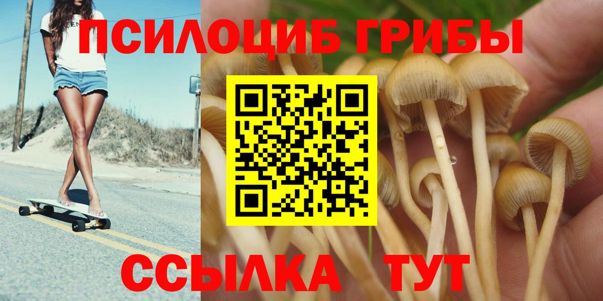 Псилоцибиновые грибы GOLDEN TEACHER  Вход с VPN  Галлюциногенные грибы Psilocybine cubensis  Ейск 
